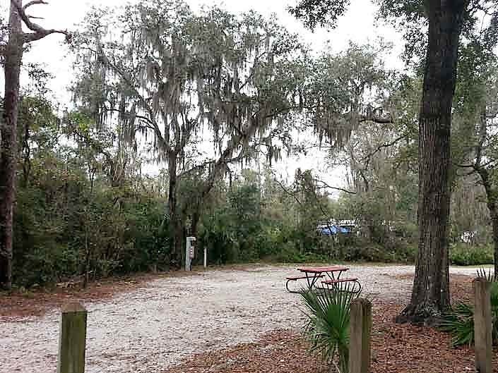 Camper submitted image from Lithia Springs Conservation Park - 4