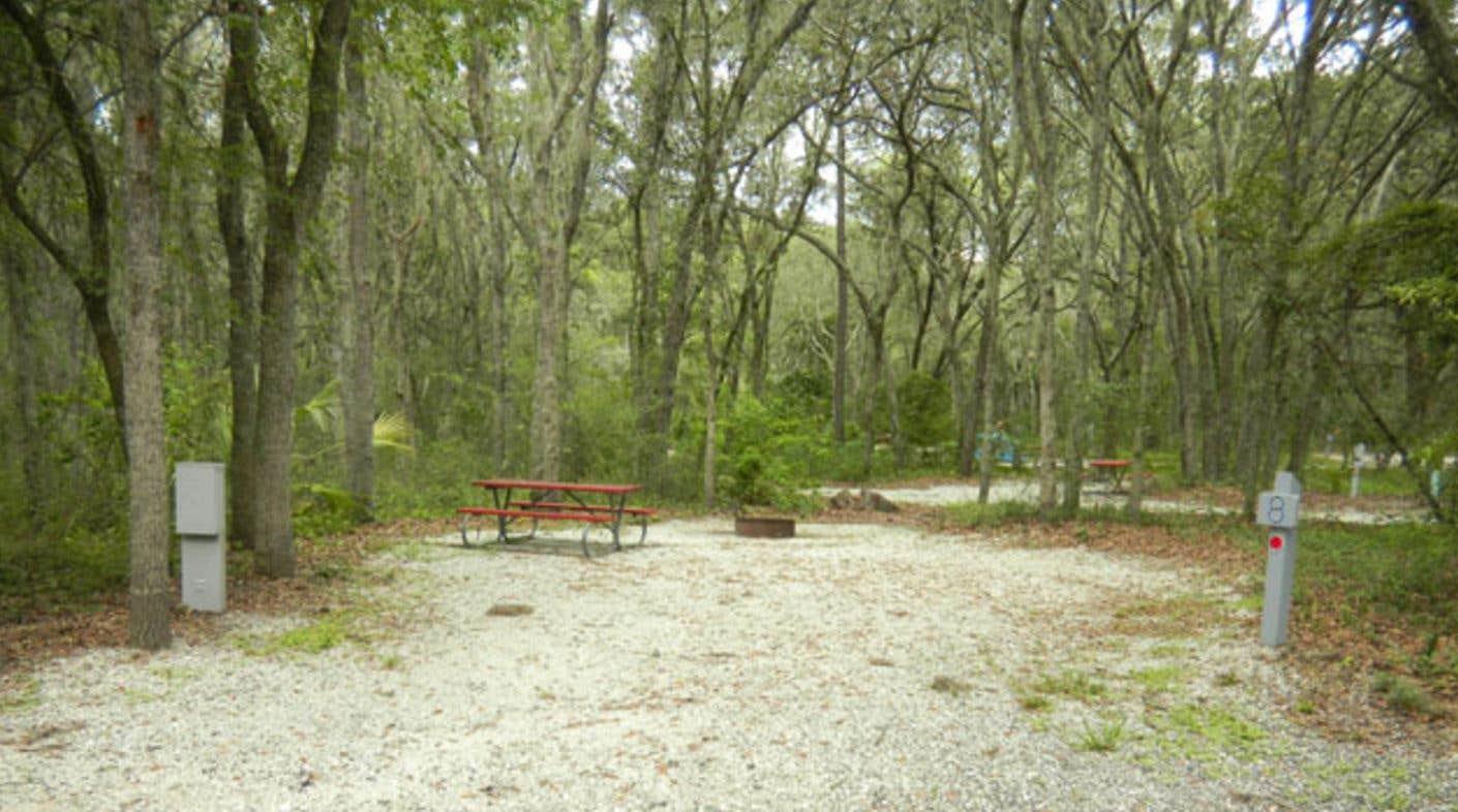 Camper-submitted photo at Lithia Springs Conservation Park near Plant City, FL