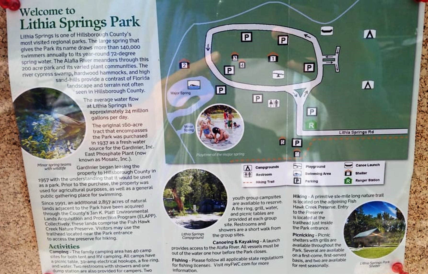 Camper-submitted photo at Lithia Springs Conservation Park near Plant City, FL