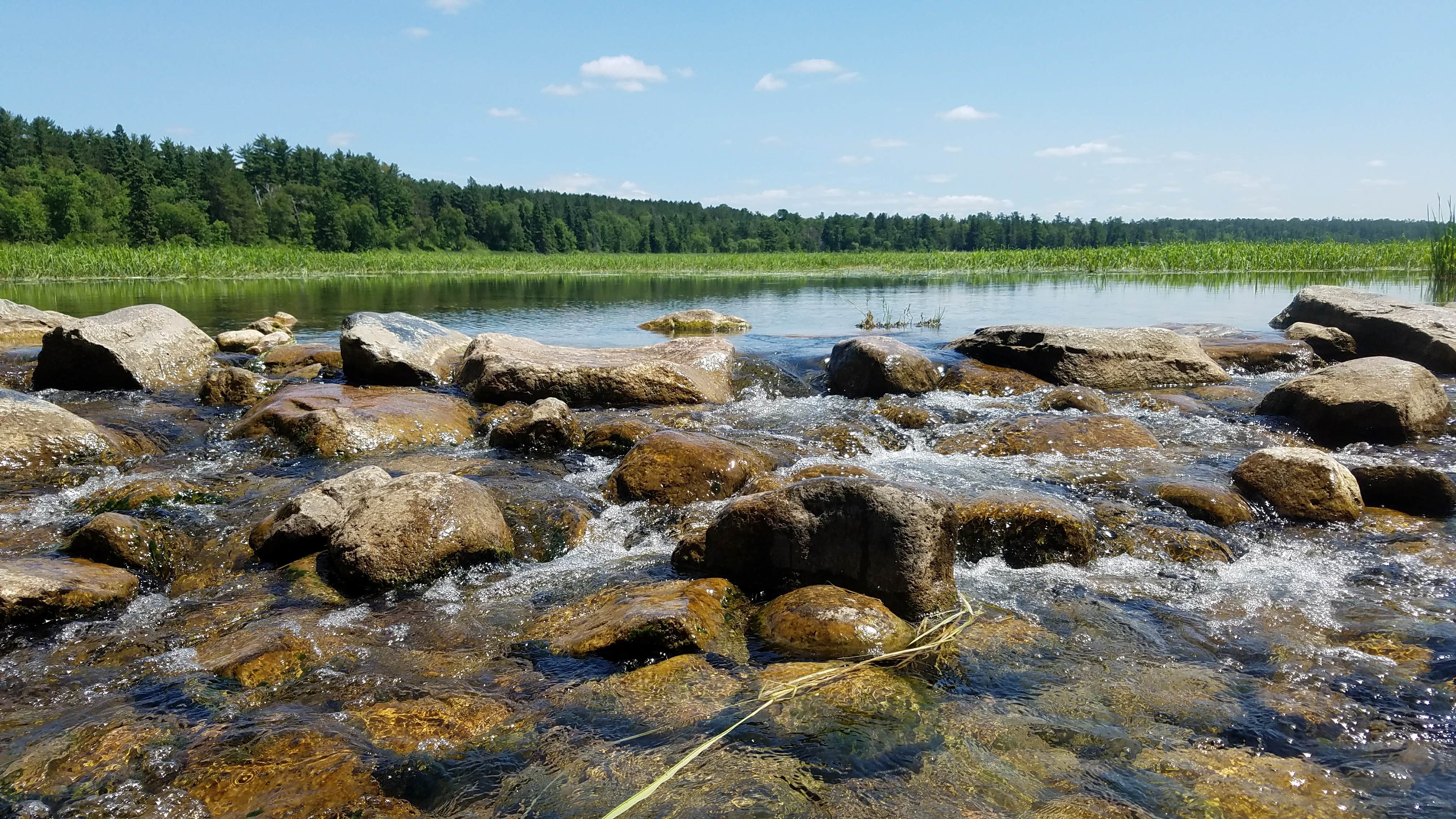 Camper-submitted photo at Bear Paw Campground — Itasca State Park near Laporte, MN