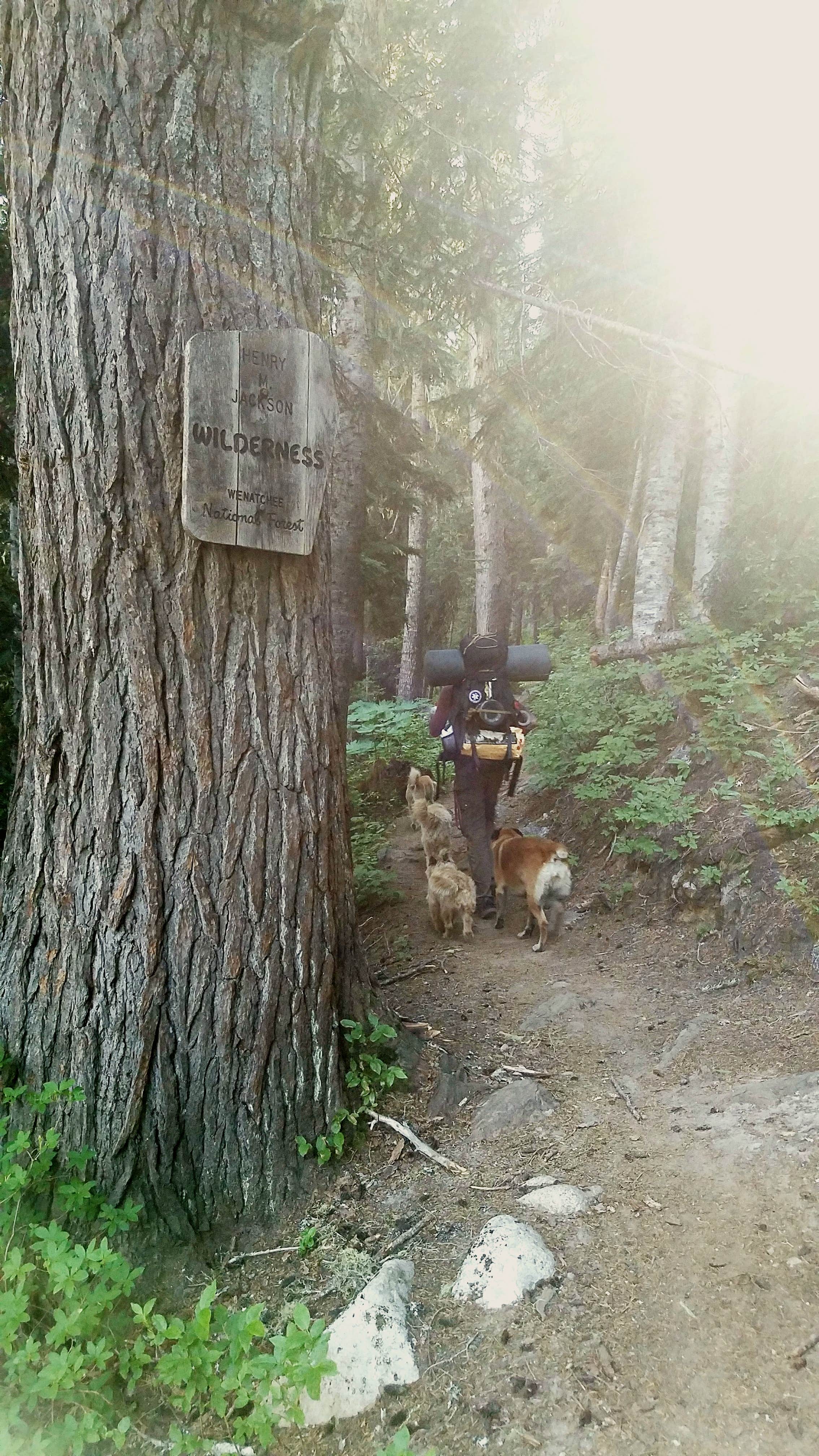 Camper-submitted photo at Lake Valhalla Backcountry Camping near Everett, WA