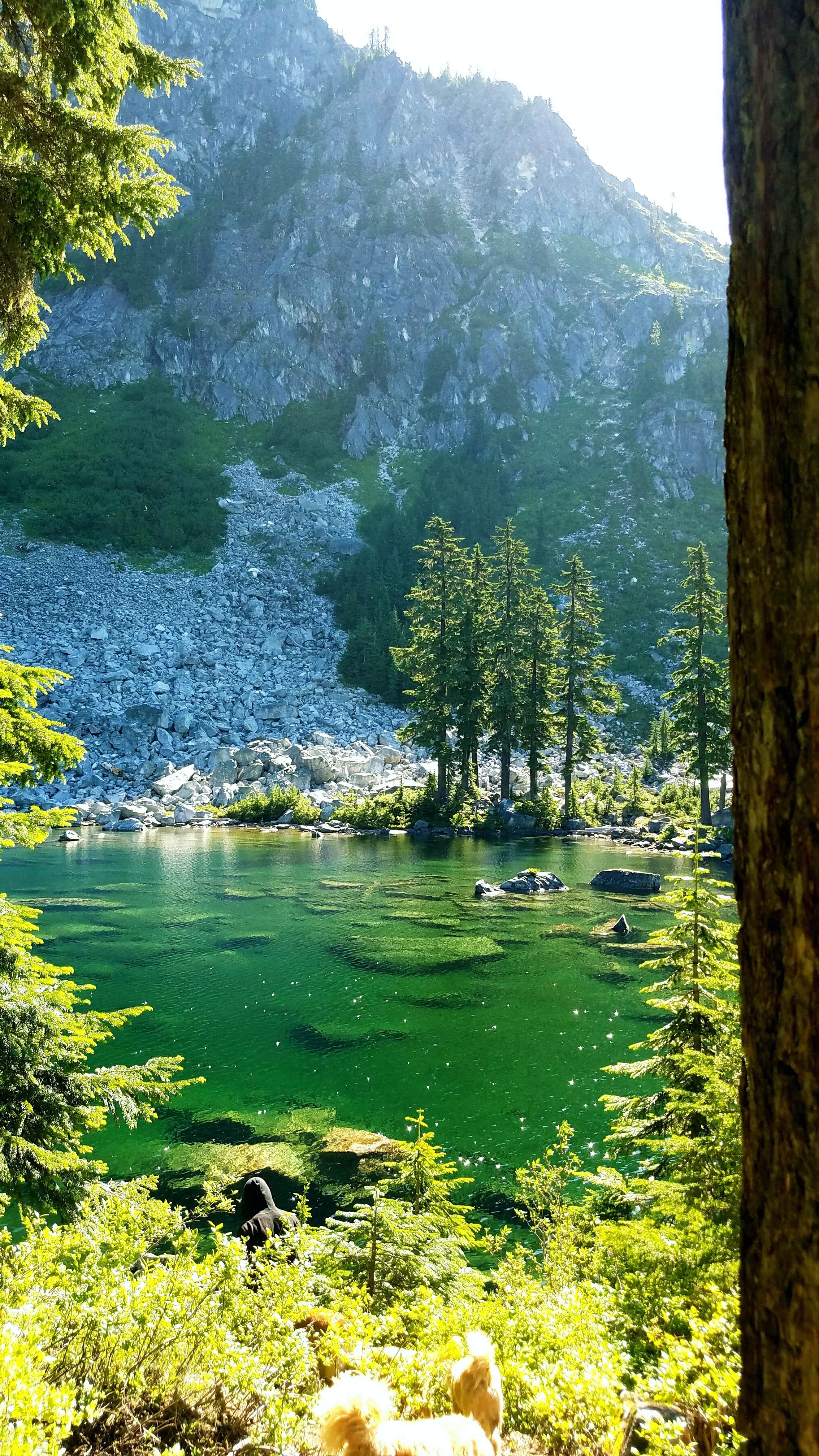 Camper-submitted photo at Lake Valhalla Backcountry Camping near Everett, WA
