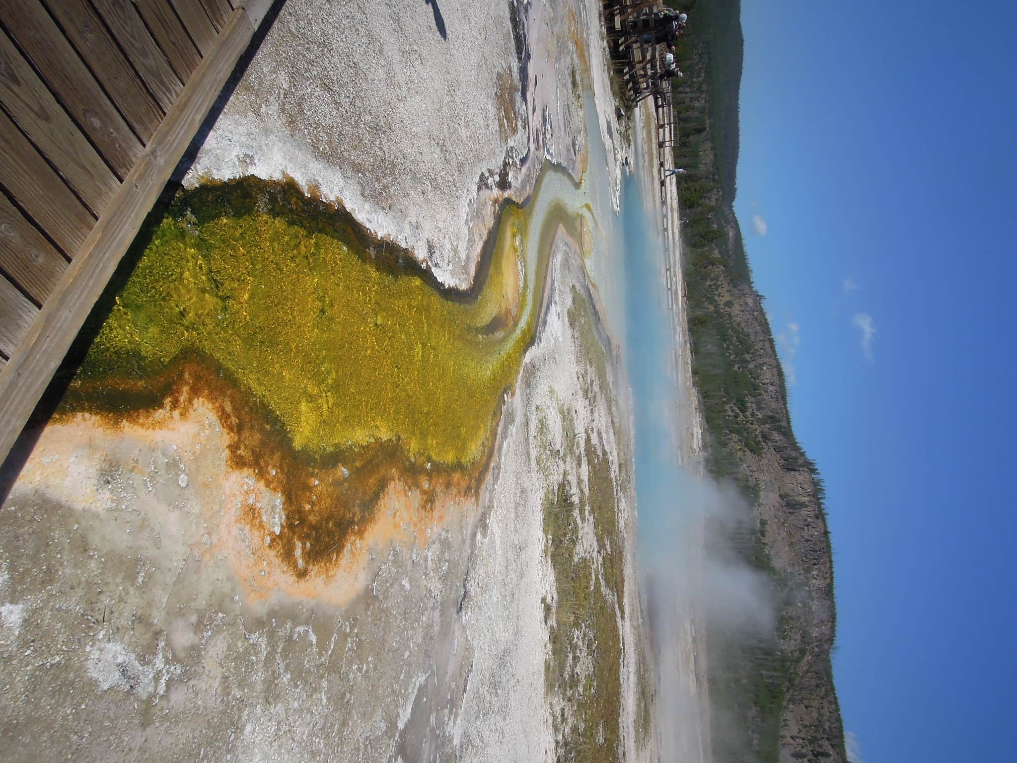 Camper submitted image from Mammoth Campground — Yellowstone National Park - 3