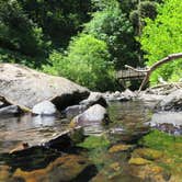 Review photo of Silver Falls State Park Campground by Aria R., July 22, 2017