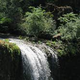 Review photo of Silver Falls State Park Campground by Aria R., July 22, 2017