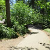Review photo of Silver Falls State Park Campground by Aria R., July 22, 2017