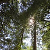 Review photo of Silver Falls State Park Campground by Aria R., July 22, 2017