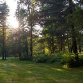 Review photo of Silver Falls State Park Campground by Aria R., July 22, 2017