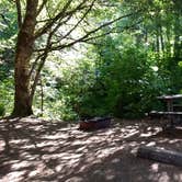 Review photo of Silver Falls State Park Campground by Aria R., July 22, 2017