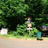 Review photo of Silver Falls State Park Campground by Aria R., July 22, 2017