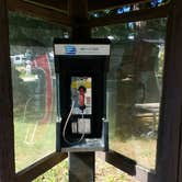 Review photo of Silver Falls State Park Campground by Aria R., July 22, 2017