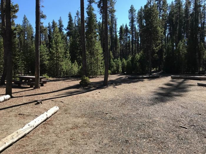 Camper submitted image from Contorta Flat Campground - 3