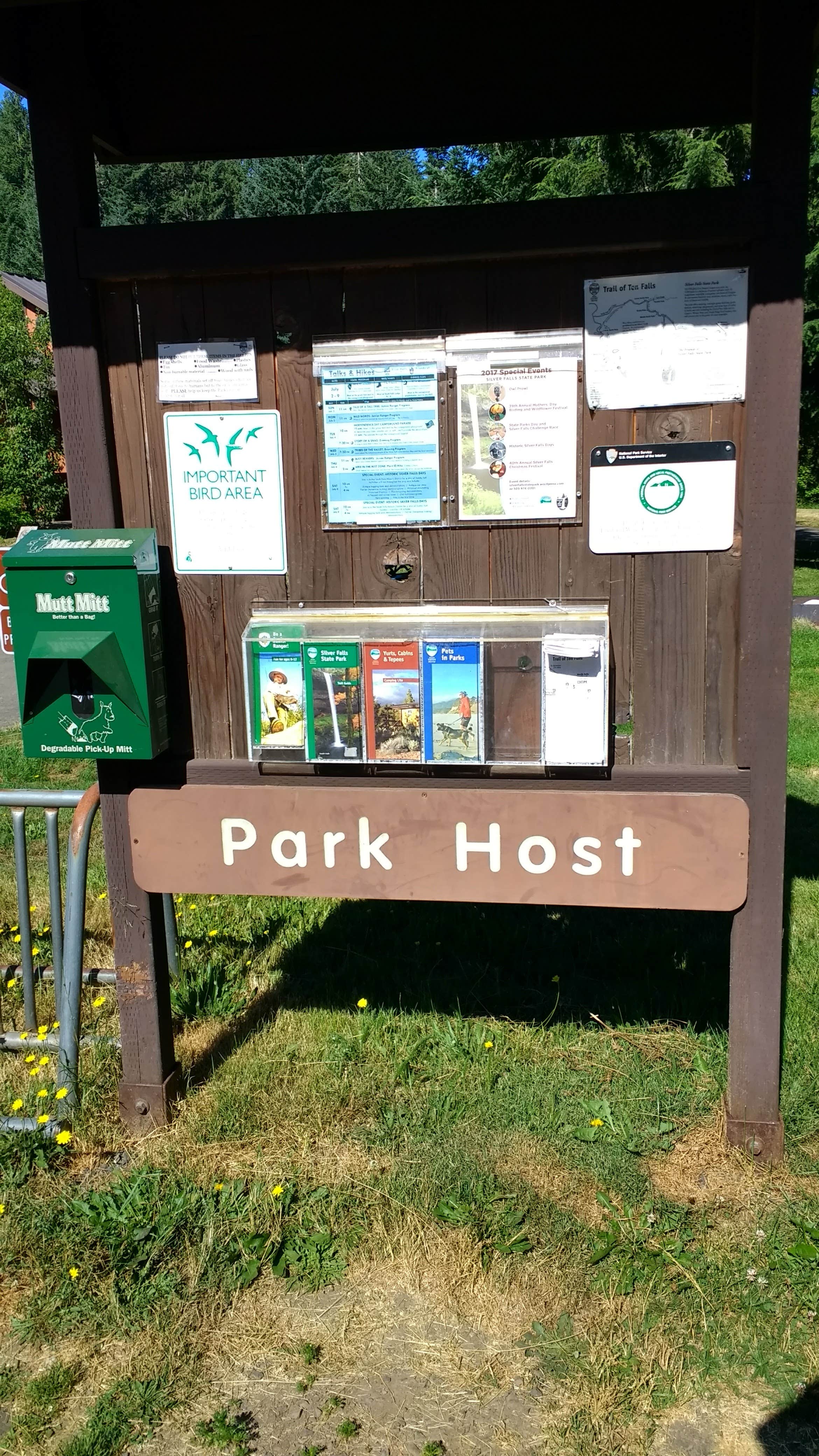 Camper-submitted photo at Silver Falls State Park Campground in Oregon