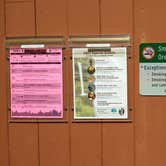 Review photo of Silver Falls State Park Campground by Aria R., July 22, 2017