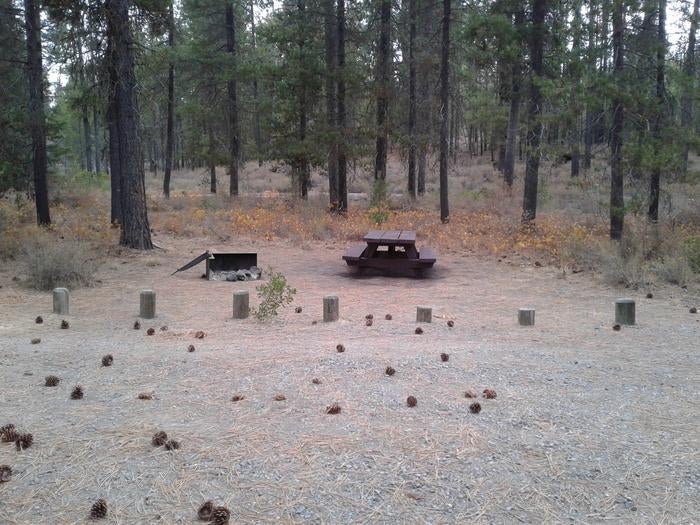 Camper submitted image from Crescent Creek Campground - 4