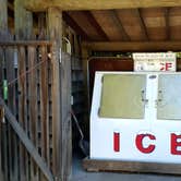 Review photo of Silver Falls State Park Campground by Aria R., July 22, 2017