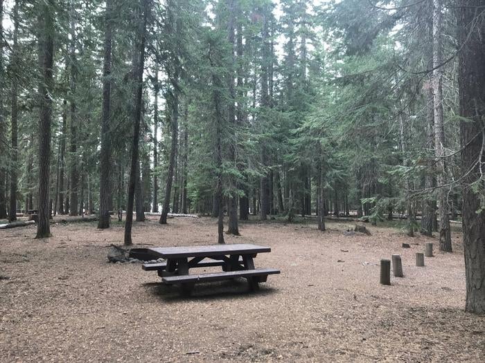 Camper submitted image from Cultus Lake Campground - 5