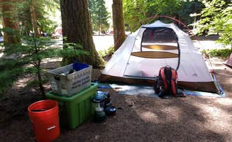 Aria R.'s photo at Silver Falls State Park Campground near Lebanon, OR