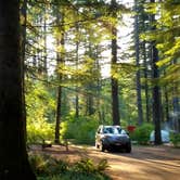Review photo of Silver Falls State Park Campground by Aria R., July 22, 2017