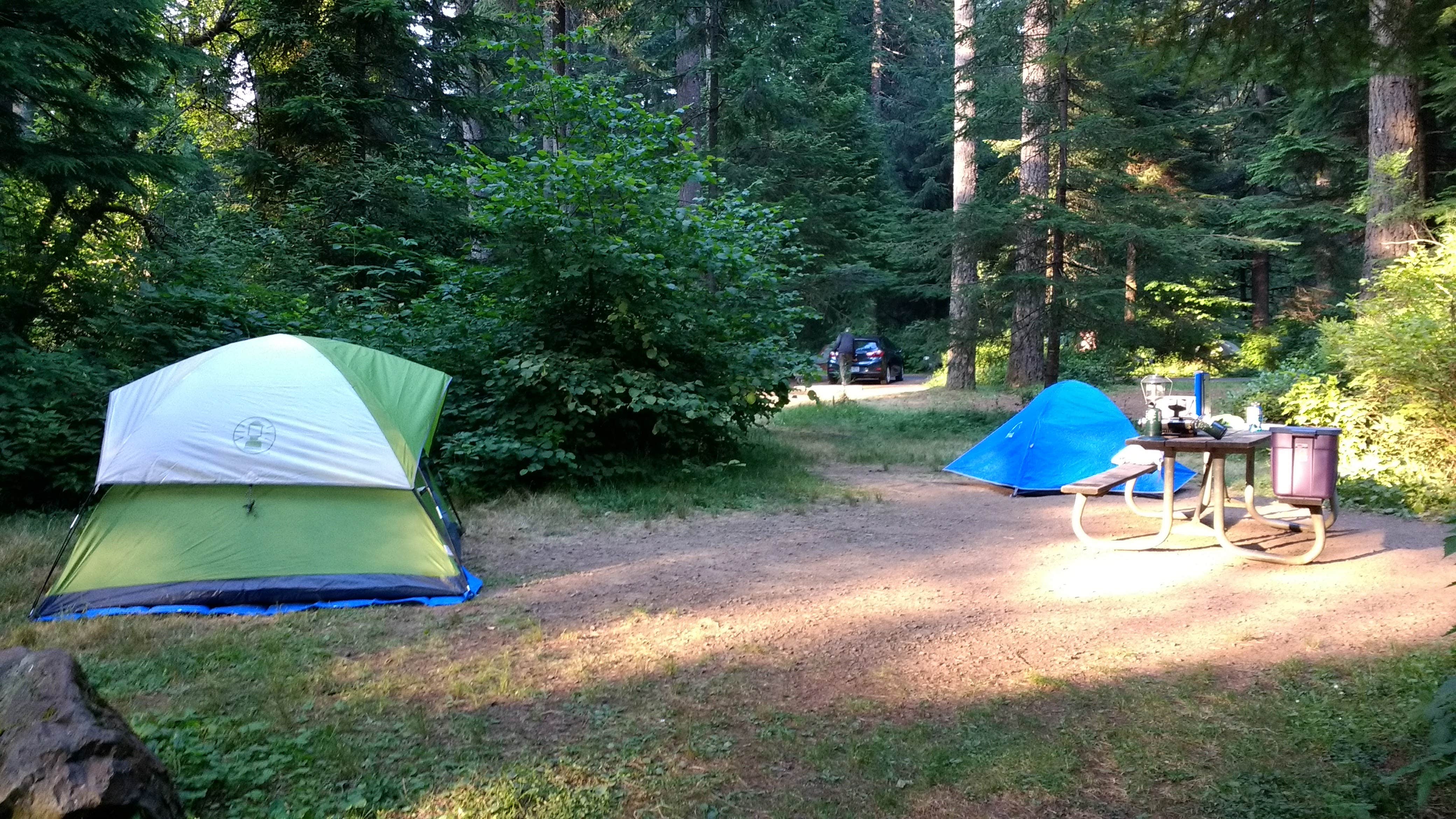Aria R.'s photo at Silver Falls State Park Campground near Sublimity, OR