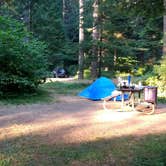 Review photo of Silver Falls State Park Campground by Aria R., July 22, 2017