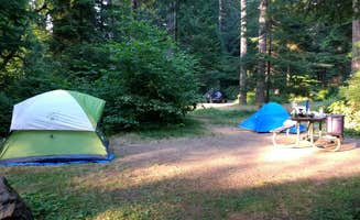 Aria R.'s photo at Silver Falls State Park Campground near Lebanon, OR
