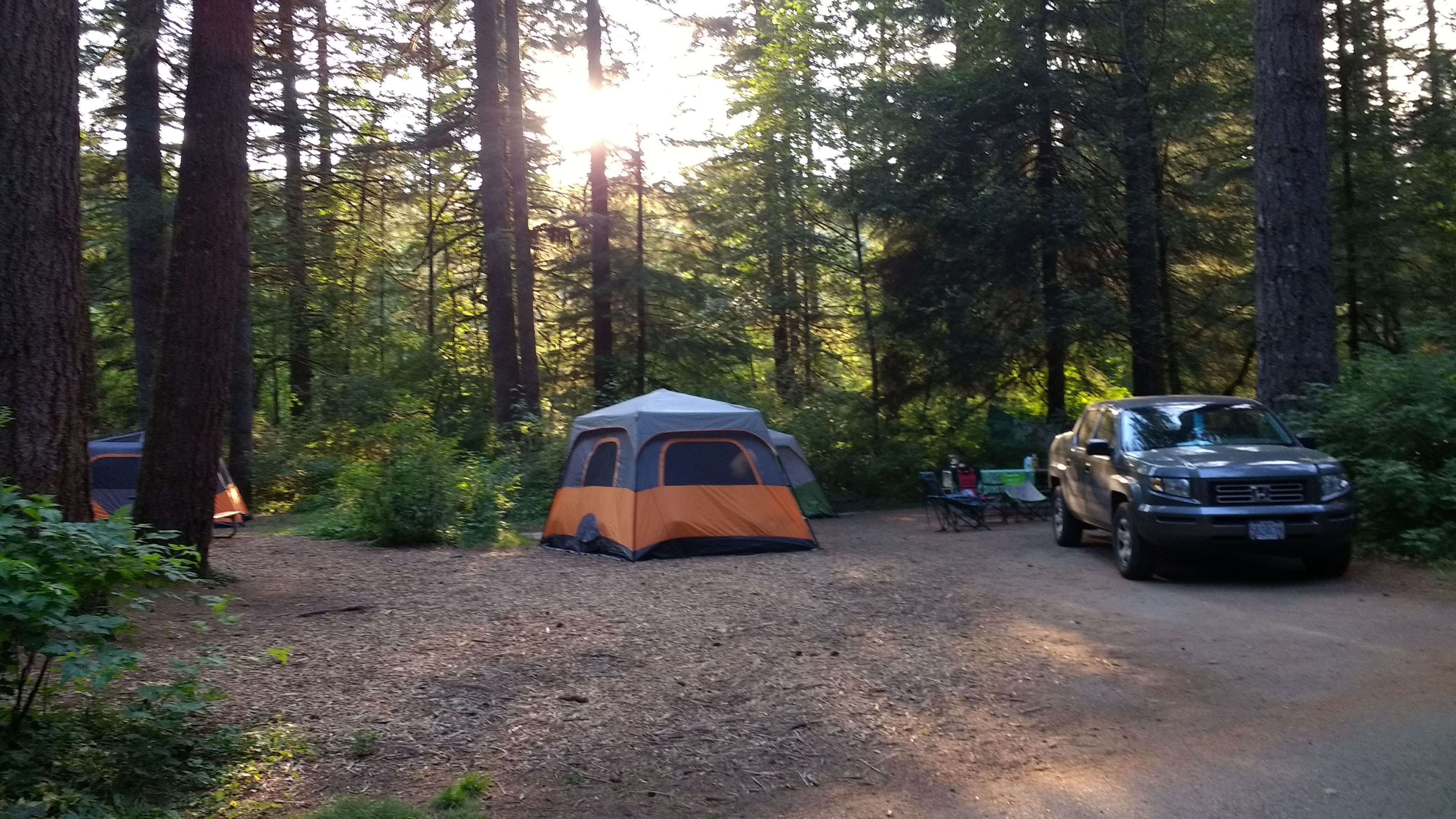 Aria R.'s photo at Silver Falls State Park Campground near Stayton, OR