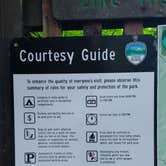 Review photo of Silver Falls State Park Campground by Aria R., July 22, 2017