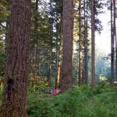 Review photo of Silver Falls State Park Campground by Aria R., July 22, 2017