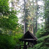 Review photo of Silver Falls State Park Campground by Aria R., July 22, 2017