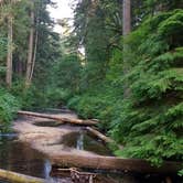 Review photo of Silver Falls State Park Campground by Aria R., July 22, 2017