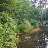Review photo of Silver Falls State Park Campground by Aria R., July 22, 2017