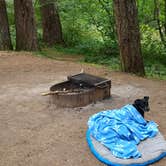 Review photo of Silver Falls State Park Campground by Aria R., July 22, 2017