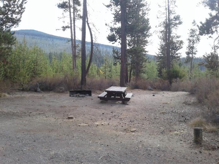 Camper submitted image from East Davis Campground - 4