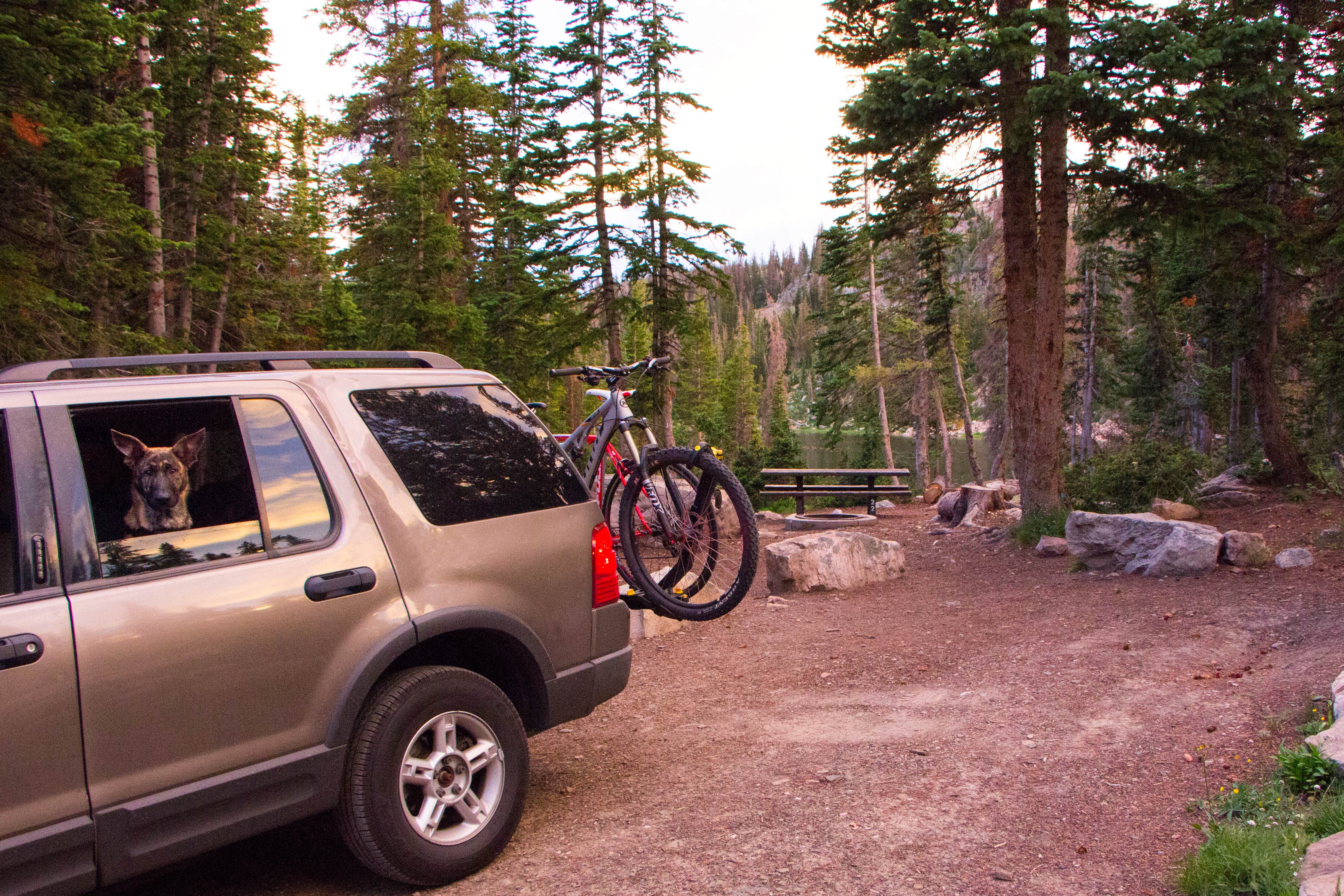 Jen G.'s photo of camping with pets at Wasatch National Forest Moosehorn Campground near Evanston, WY