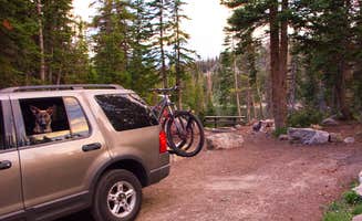 Jen G.'s photo of camping with pets at Wasatch National Forest Moosehorn Campground near Hanna, UT
