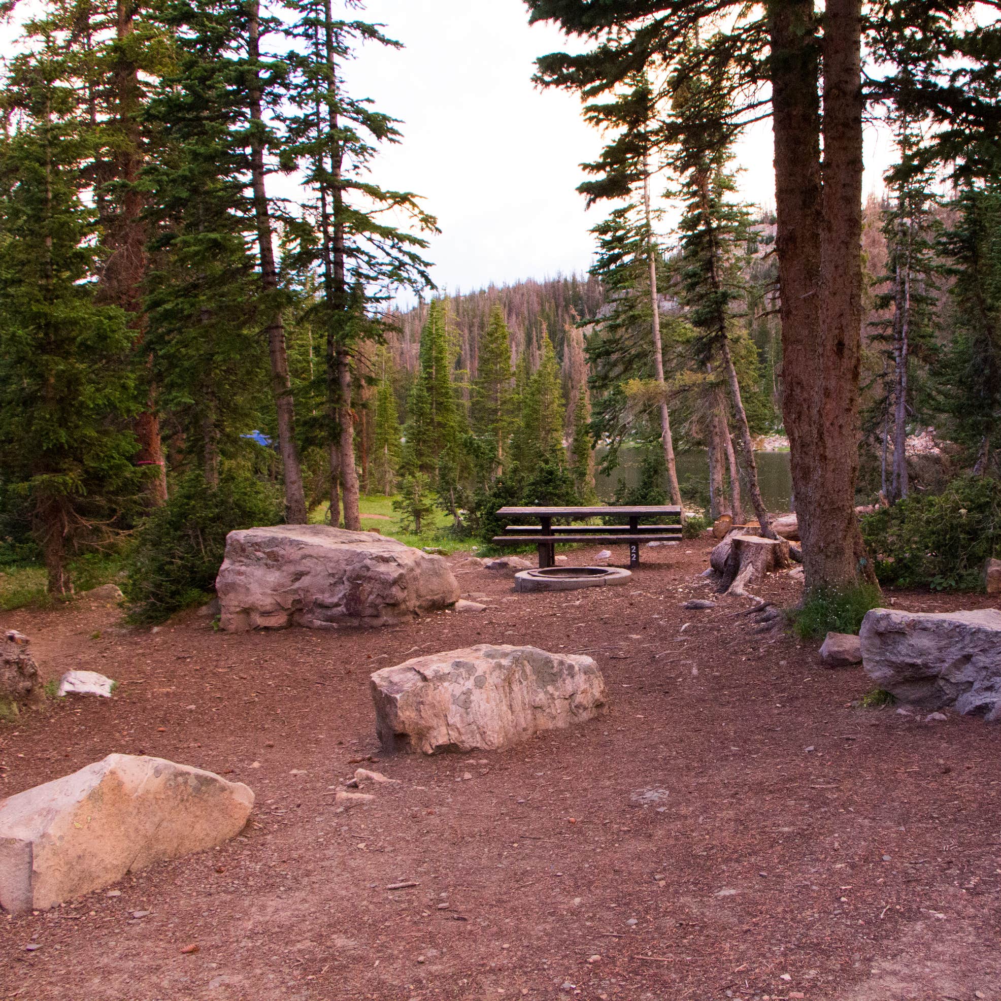 Moosehorn Camping The Dyrt