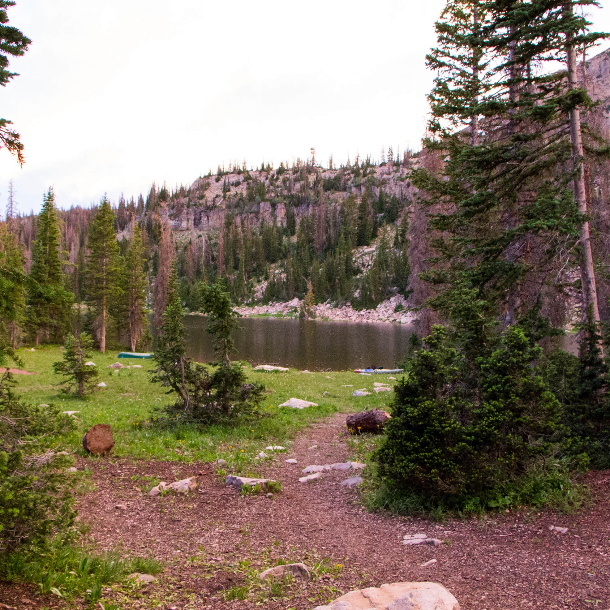 Moosehorn Camping The Dyrt