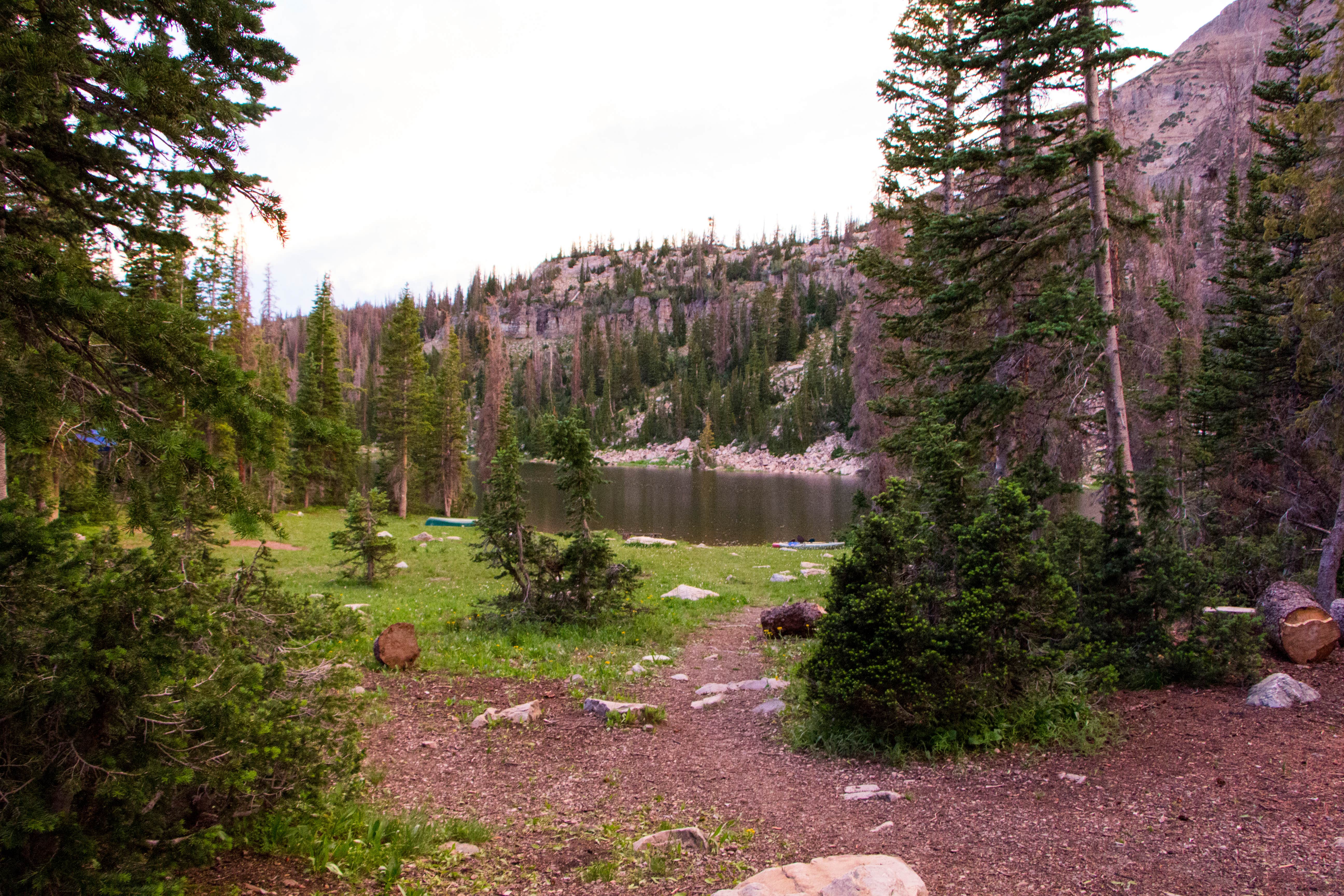 Camper submitted image from Wasatch National Forest Moosehorn Campground - 4