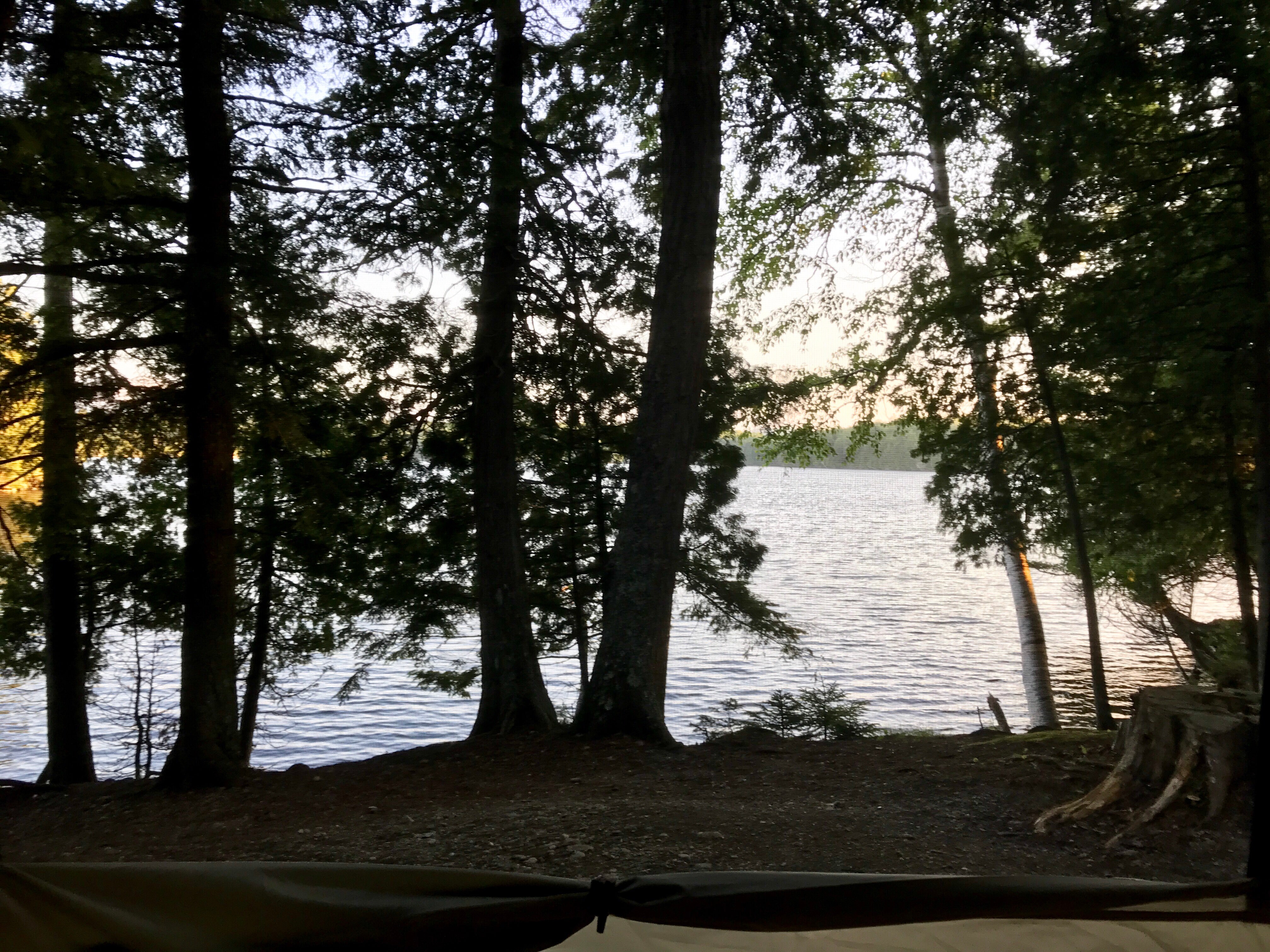 Camper submitted image from Rowell Cove Campground — Lily Bay State Park - 2