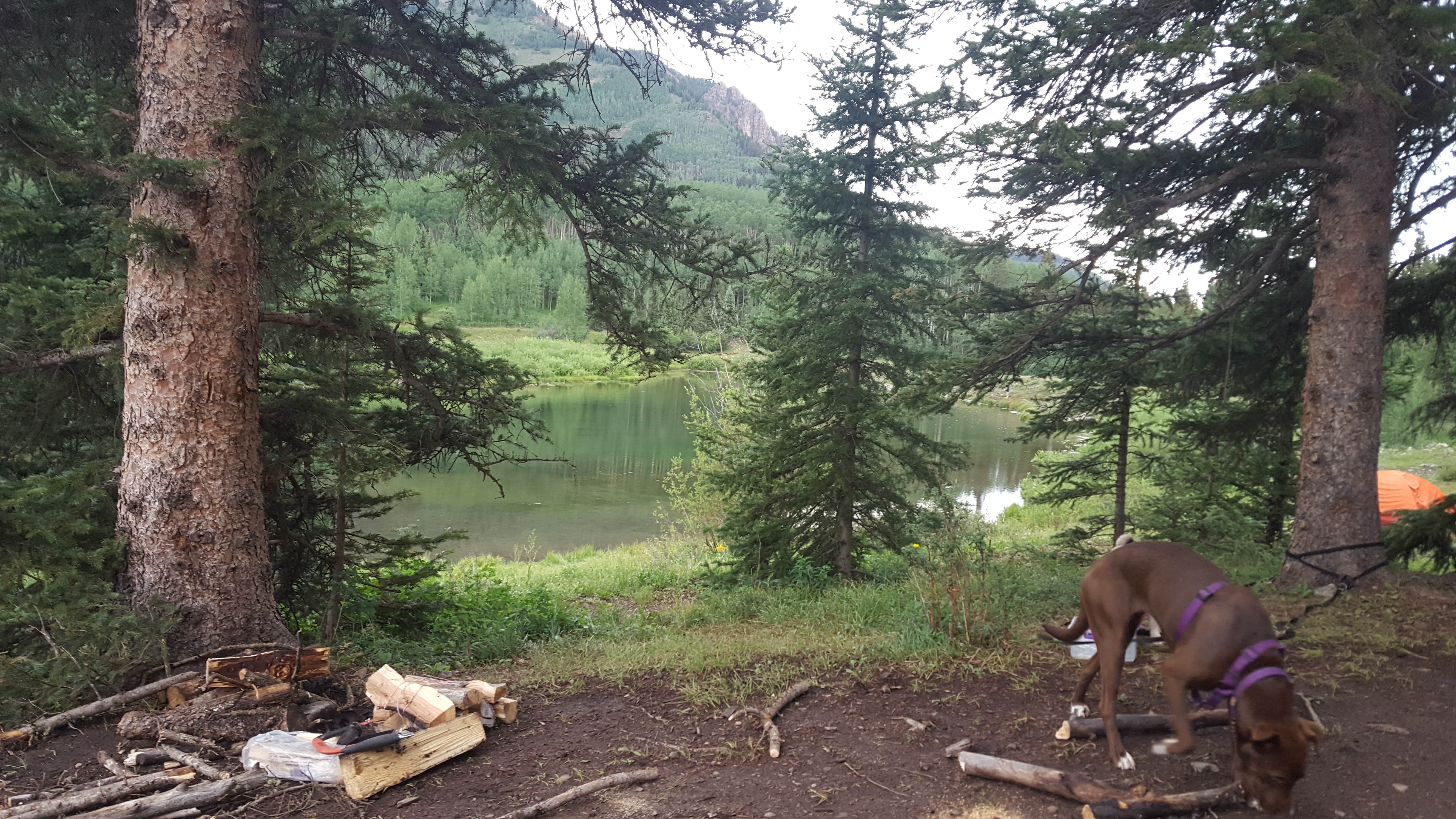 Camper-submitted photo at Priest Lake Dispersed Camping Area near Rico, CO