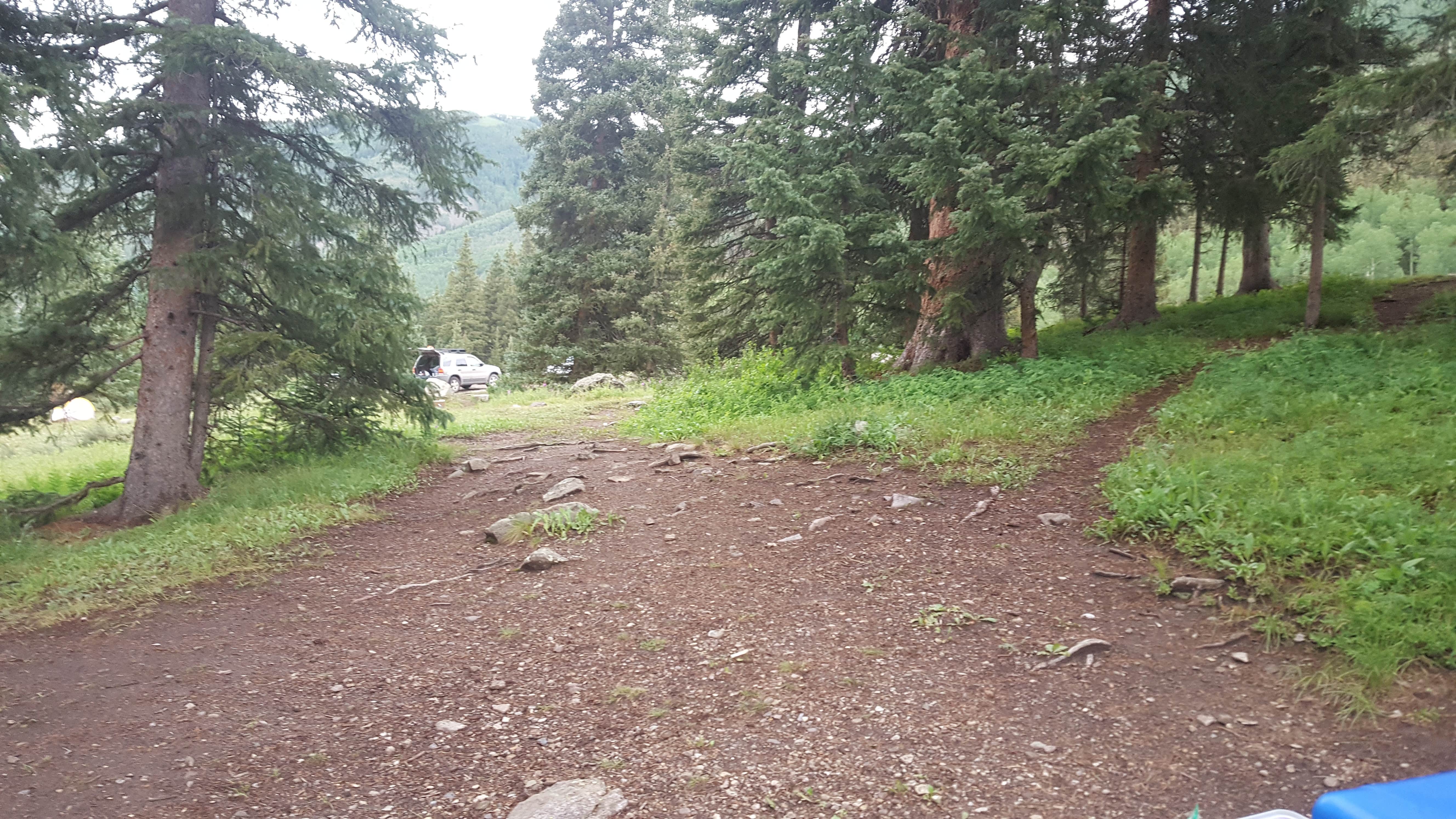 Camper submitted image from Priest Lake Dispersed Camping Area - 3