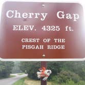 Review photo of Mount Mitchell State Park Campground by Sarah C., July 22, 2017