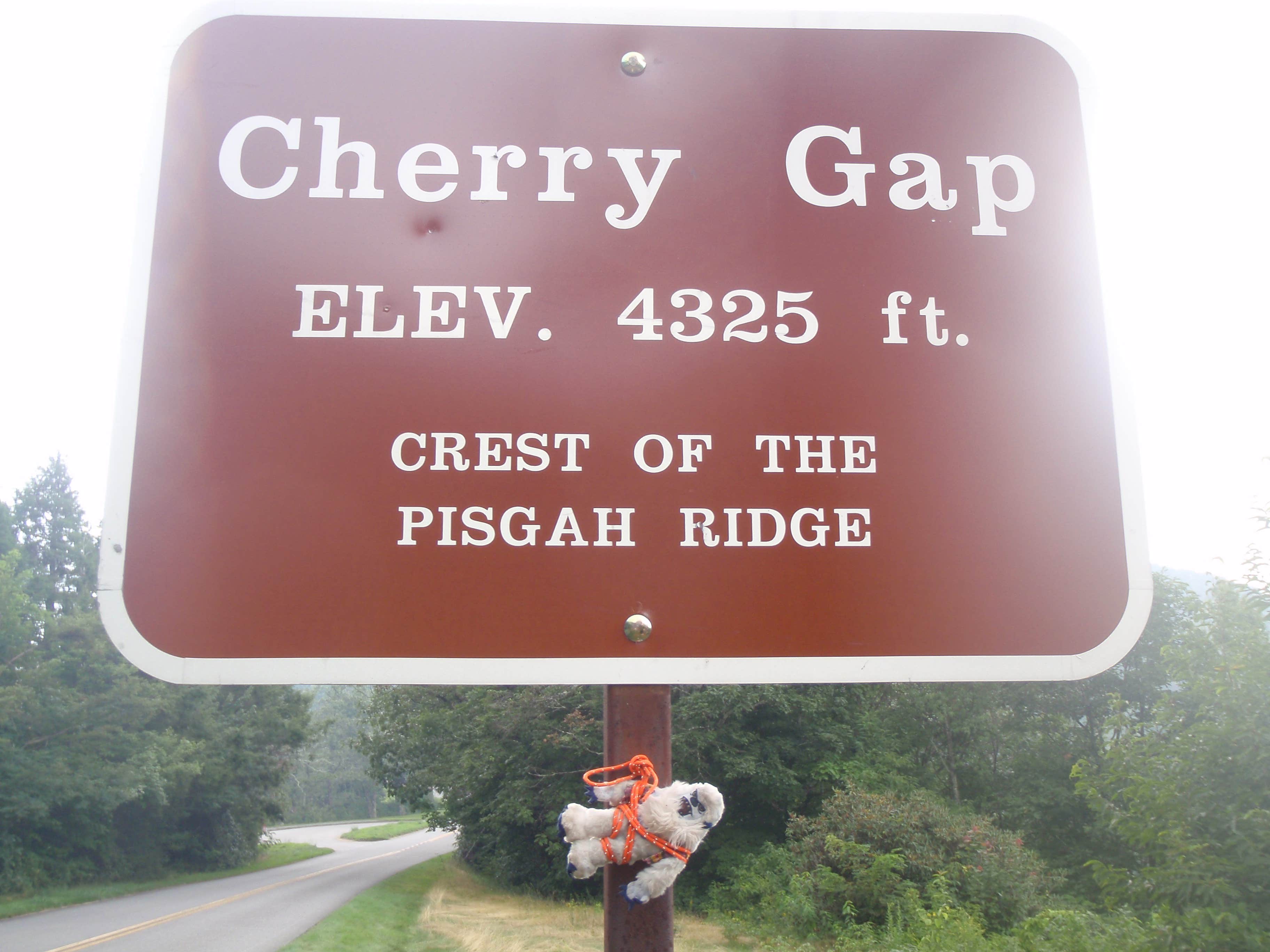 Camper submitted image from Mount Mitchell State Park Campground - 3