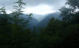 Camping near Mila's Bunny Farm: Mount Mitchell State Park Campground, Pisgah National Forest, North Carolina