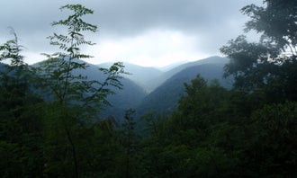 Camping near Black Mountain Campground: Mount Mitchell State Park, Pisgah National Forest, North Carolina
