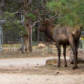 Review photo of Mather Campground — Grand Canyon National Park by Jen G., July 22, 2017