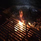 Review photo of Trail of Tears State Park Campground by Barbara L., June 28, 2016