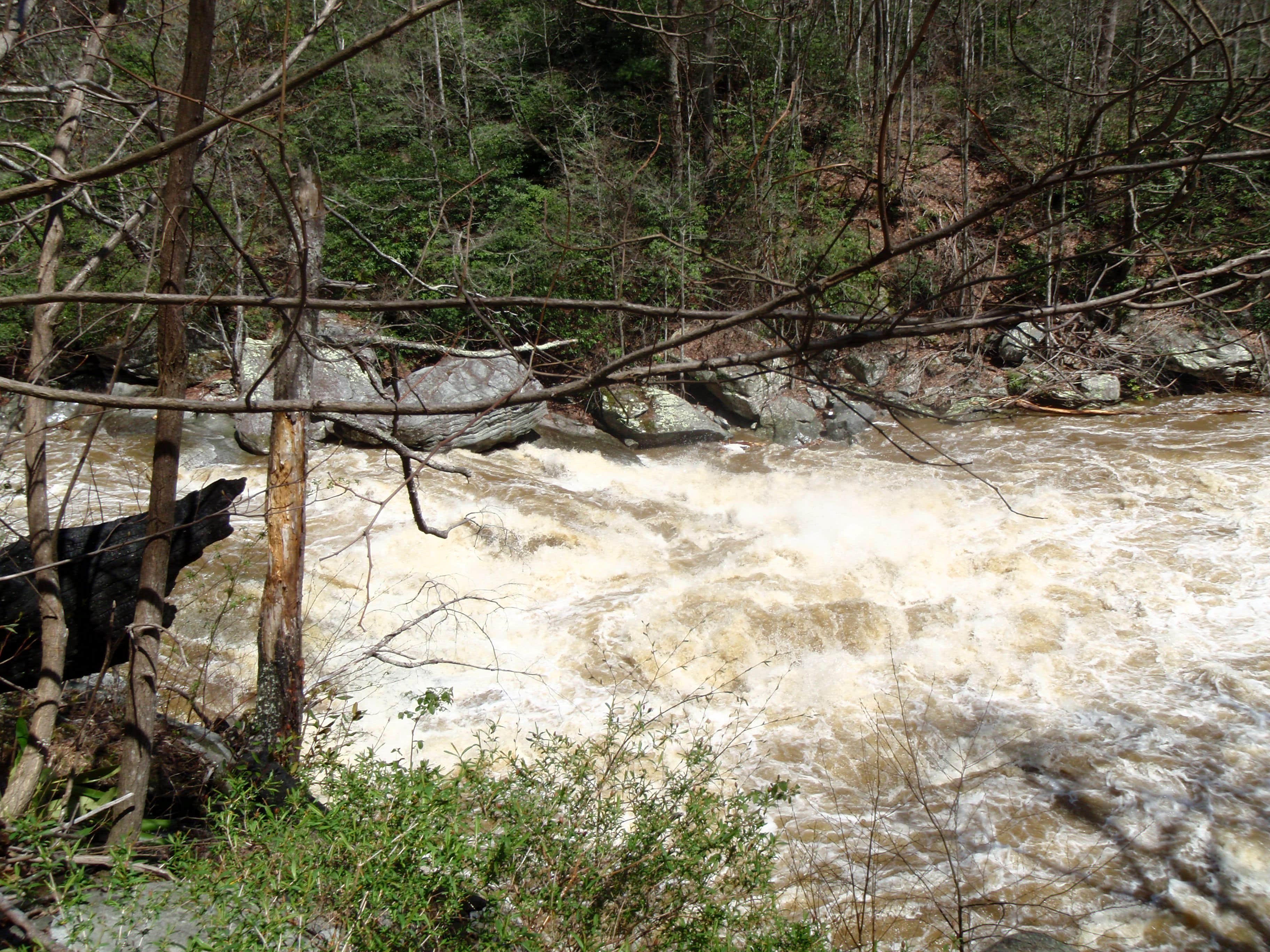 Camper submitted image from Linville Falls Campground — Blue Ridge Parkway - 2