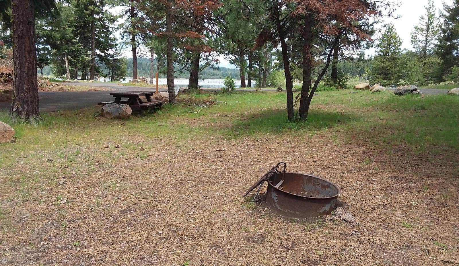 Camper submitted image from Hyatt Lake Recreation Area - 3